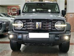 جريت وول 300